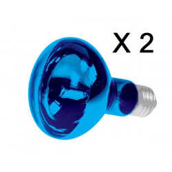 2 X Farbige discolampe blau 60w fereyra - 1