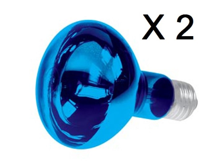 2 X Farbige discolampe blau 60w fereyra - 1