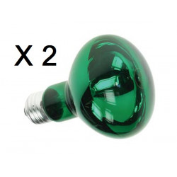 2 X Farbige discolampe grun 60w jr international - 1