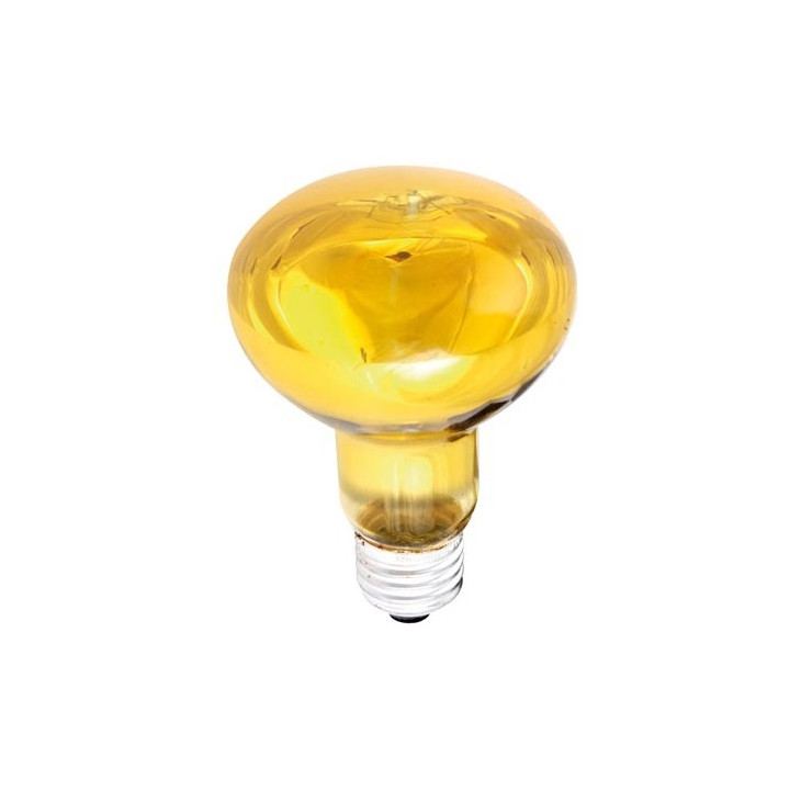 Coloured spot yellow 60w r80 omnilux - 1