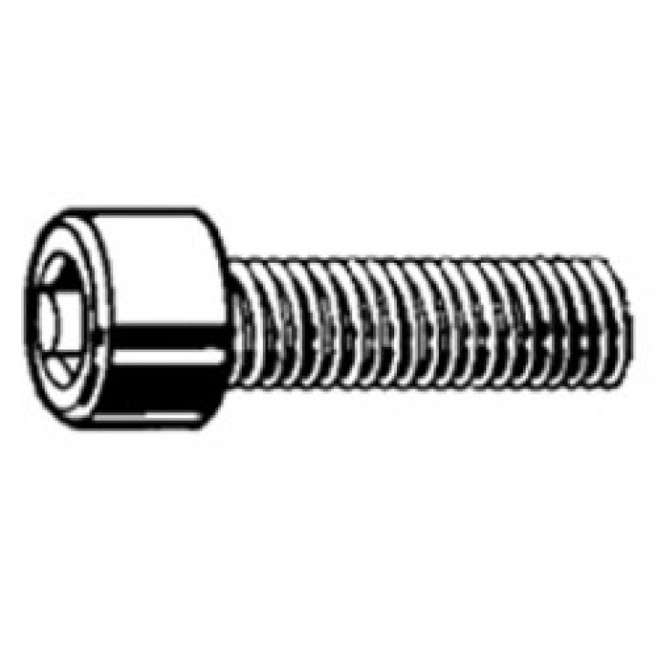 Satz mit 10 Edelstahlschrauben 6 Buchse 3 x 30 mm traxxas - 1
