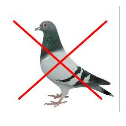 Uccello ultrasuoni repellente respinge gatto repellente cane colomba parrocchetto piccione gabbiano uccello jr international - 1