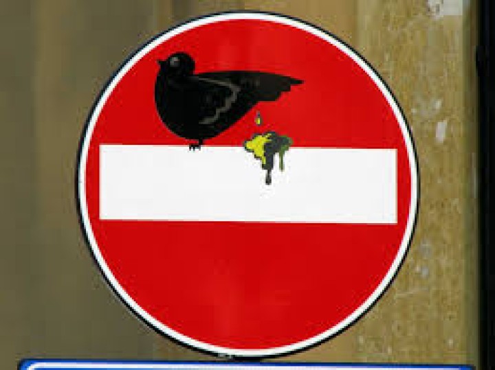 jpg