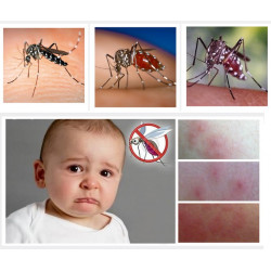 Trap hat Chikungunya Vakuumgreifer Moskitophotokatalysator erfassen Insektengitterkäfig taurus - 1