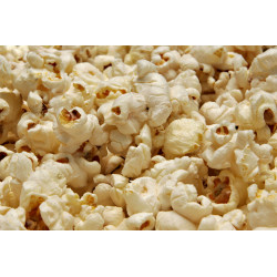 Popcorn maschine 220vac popcornmaschine elektrogerat kuchengerate kuchengerat popcorn maschine popcornmaschine elektrogerate jr 