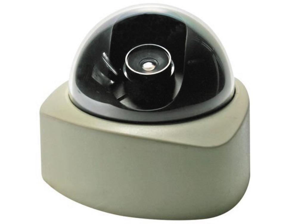 Dummy anti vandalism dome camera velleman - 1