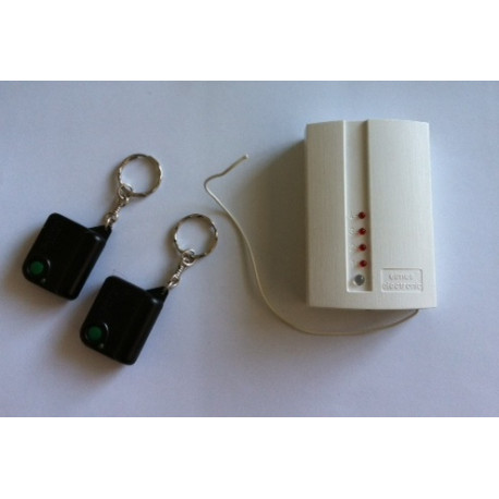 Kit domotica: 2 radio telecomandi r1t + 1radio ricevitore r1 sistema domotica electrolux - 1