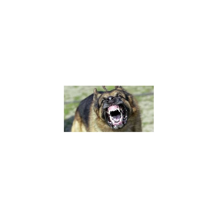Repulsivo ad ultrasuoni per cani e gatti + detezione radar 3m 10m2 6vcc yc12 scacciacani scacciagatti jr international - 4