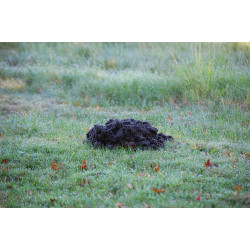 Electronic ground rodent mole repeller, 25m 700m2 professional ultrasonic repelling system perel - 2