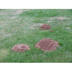 Stoß maulwurf ultraschall 9v ab m069 maxi 1000m2 stoß maulwurfe nachwachsen nagetiere repousseurs taupe ab kemo - 1
