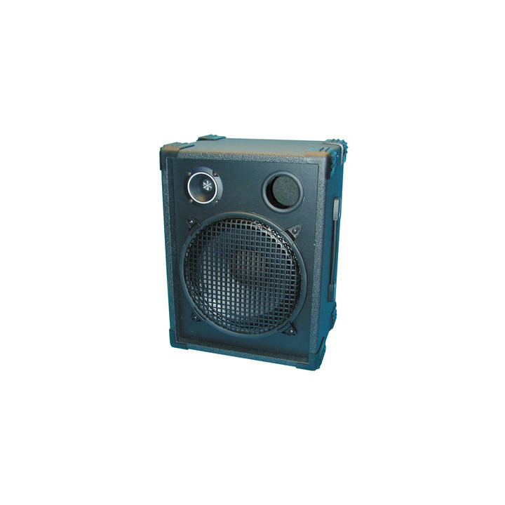 Cassa acustica a due vie 200w maxi (l'unità) cassa acustica cassa acustica jr international - 1