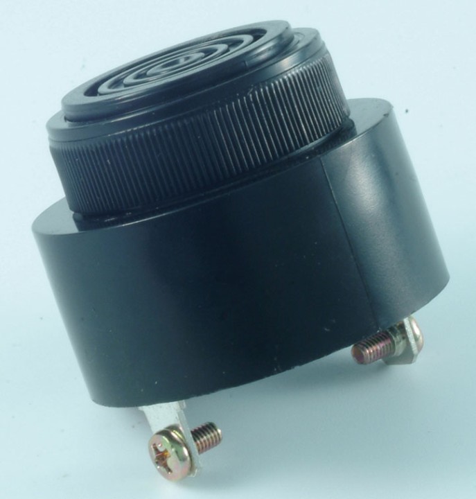 Sirena alarma zumbador no polarizado ac dc 220v 60v 70v 80v 90v 100v 110v 120v 130v 140v 150v 160v 170v 180v 190v 200v 210v cone