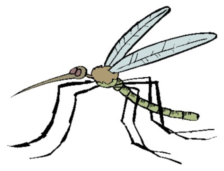 Destructor insectos lampara ultra violeta gate apata insecto mosquito cen - 1
