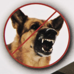 Ultrasonic aggresive dog cat deterrent repeller for training ultrason dog shaser 5m ls 977f cat shooter not dazzer leaven - 3