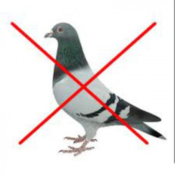 Uccello ultrasuoni repellente respinge cane repeller mo71n colomba piccione gabbiano uccello parrocchetto kemo - 6