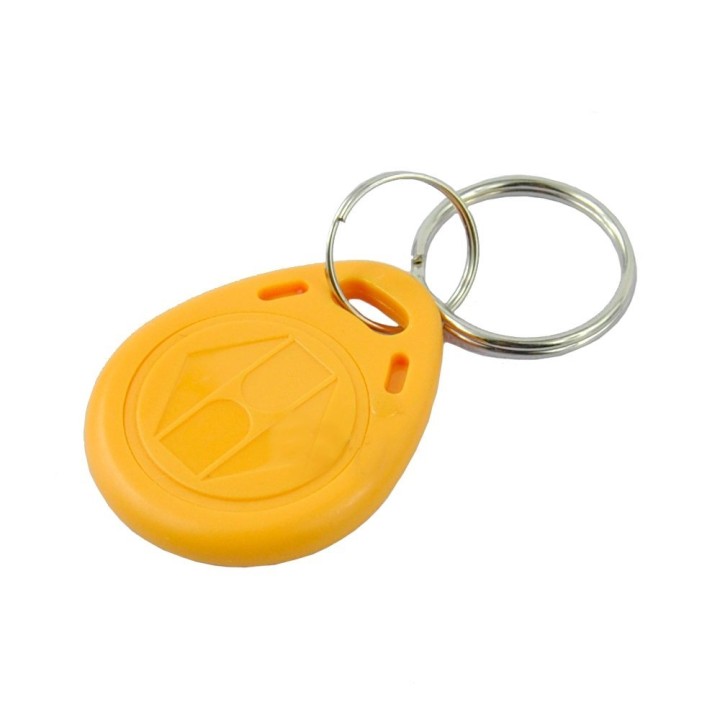 100 pcs EM4305 Copia Rewritable Writable Rewrite EM Keyfobs identificazione RFID Tag Key Card Ring 125KHZ Proximity Token Duplic