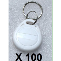 100 pcs EM4305 Kopieren Rewritable Writable Rewrite EM ID Keyfobs RFID Tag Schlüsselring Karte 125KHZ Näherung Token Access Dupl
