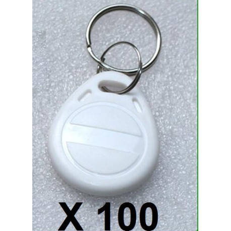 100 pcs EM4305 Copia Rewritable Writable Rewrite EM Keyfobs identificazione RFID Tag Key Card Ring 125KHZ Proximity Token Duplic