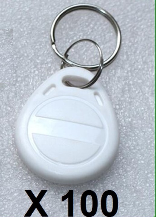 100 pcs EM4305 Copia Rewritable Writable Rewrite EM Keyfobs identificazione RFID Tag Key Card Ring 125KHZ Proximity Token Duplic