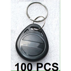 100 pcs EM4305 Copia Rewritable Writable Rewrite EM Keyfobs identificazione RFID Tag Key Card Ring 125KHZ Proximity Token Duplic