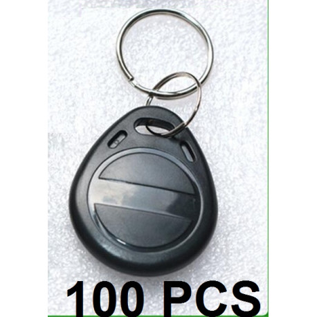 100 pcs EM4305 Copiar Reescribible Escritura Reescribir EM ID keyfobs RFID Tag Llave Tarjeta de Anillo 125KHZ Proximidad Token A