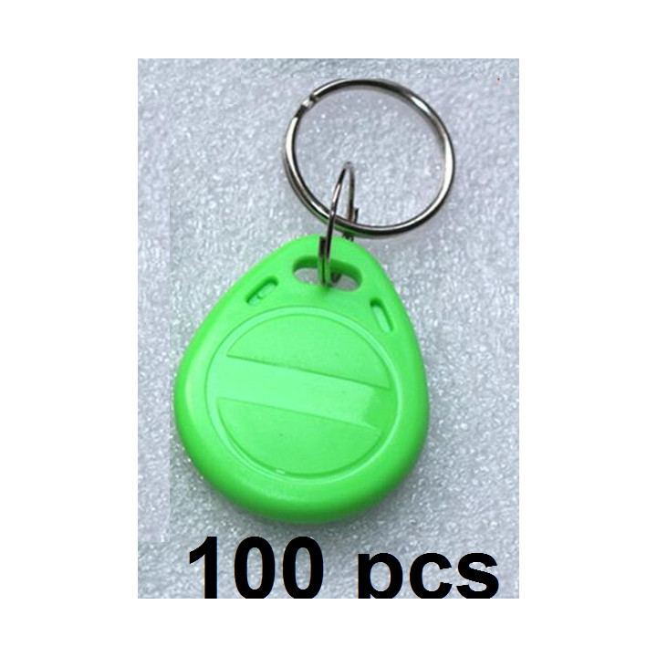 100 pcs EM4305 Kopieren Rewritable Writable Rewrite EM ID Keyfobs RFID Tag Schlüsselring Karte 125KHZ Näherung Token Access Dupl