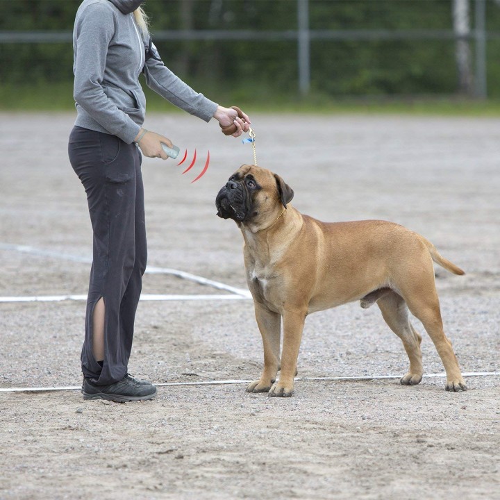 Scacciacane ad ultrasuoni 2 frequenze 7m per addestramento congegno addestramento canino eclats antivols - 7