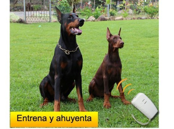 Ultraschallgerat gegen hunde fur dressur 2 frequenzen 7m ultraschallabwehr hundvertreiber ultraschallgerat ultraschallgerate hun