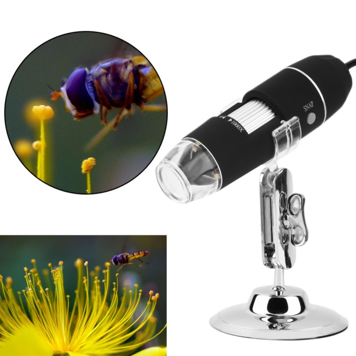500X microscope électronique Zoom optique 8 LED USB Microscope Digital pour Science