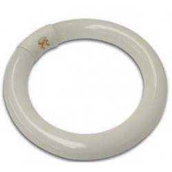 Circline 22w fc22w culot g10q tubo redondo alumbrado circulare luz bombilla vtlamp2 lamp22 velleman - 1