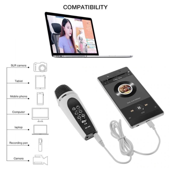 Microfono professionale per cambia voce, microfono cablato per karaoke vocale, microfono a condensatore portatile