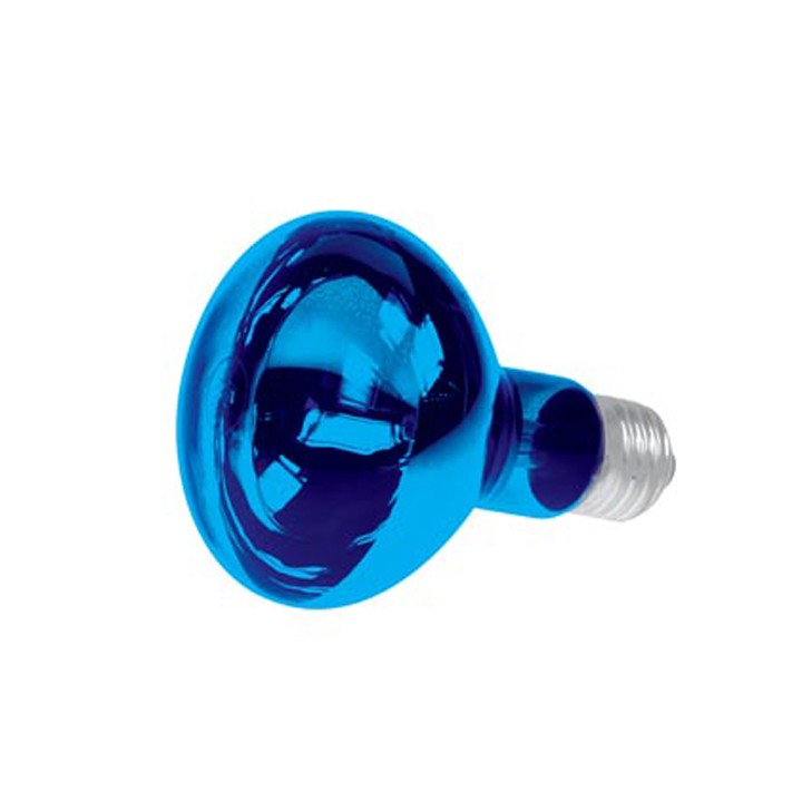 Spot colore discoteca r63 220v 40w blu lampadina lampada del proiettore lamp60b2 illuminazione velleman - 1