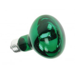 Bombilla coloreada color verde 40w R63 velleman - 1
