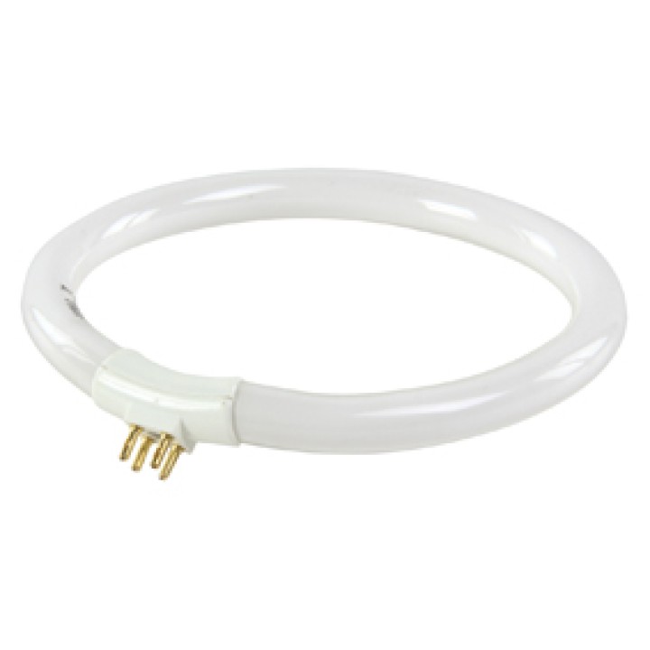 Lampada lampada 12w circline tl t4 circolare lamp3bulb mag lr112wt 240v 100 220v illuminazione luce jr  international - 1