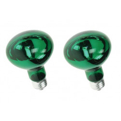 2 X Bombilla coloreada color verde 60w jr international - 1