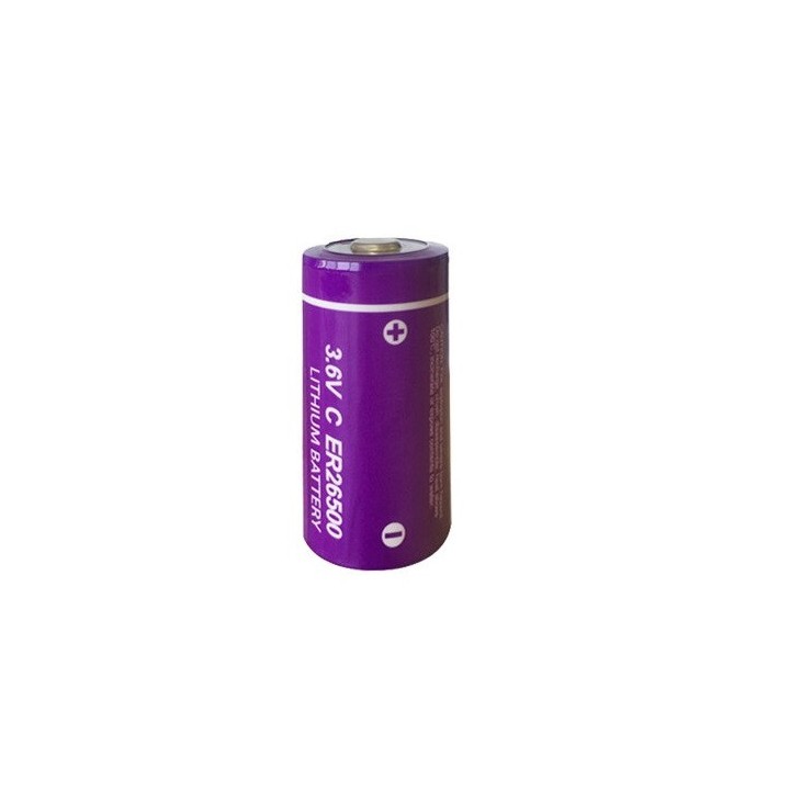 ER26500 batteria al litio da 3.6V 9000mAh c lisoci2 9000mAh 9ah 26500 ls26500 r14 lsa8500 sl770 lsh14 ls 26500 jr international 