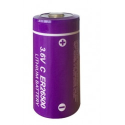 2 x ER26500 batteria al litio da 3.6V 9000mAh c lisoci2 9000mAh 9ah 26500 ls26500 r14 lsa8500 sl770 lsh14 ls 26500 jr internatio