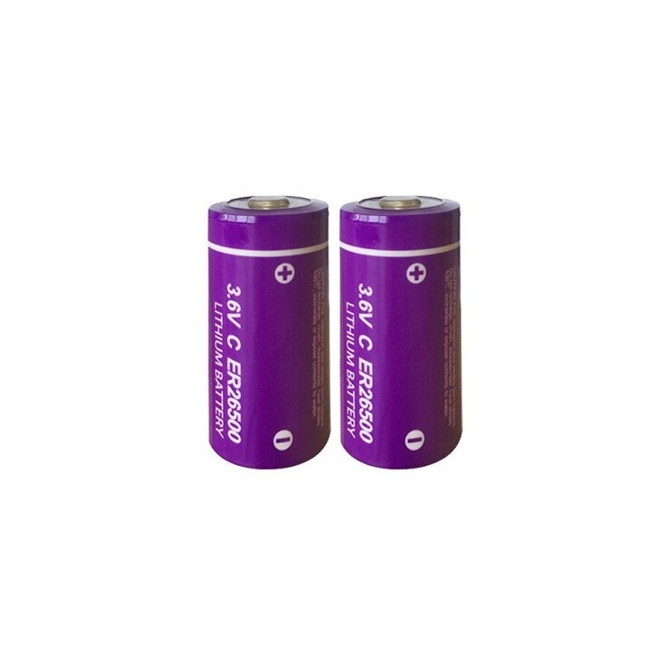 10 x ER26500 batteria al litio da 3.6V 9000mAh c lisoci2 9000mAh 9ah 26500 ls26500 r14 lsa8500 sl770 lsh14 ls 26500 jr internati