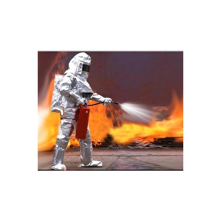 Alquiler de 1 a 7 días Combinación aluminio calor resistente 900°c agreement ga88 94 suelta la mosca guante protege zapato jr in