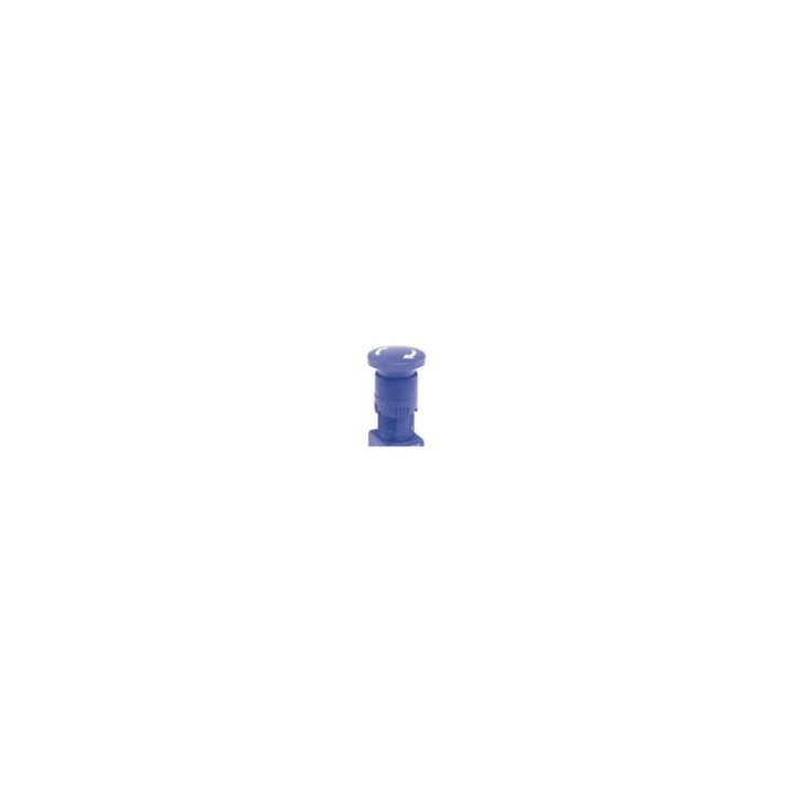jpg