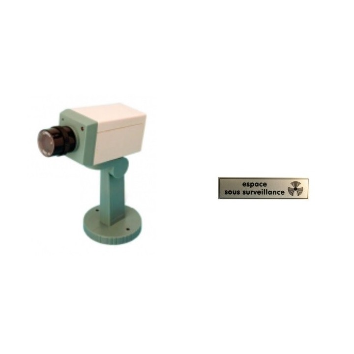 Telecamera dissuasiva + ets finta motorizzata + led lampeggiante + supporto jr international - 1