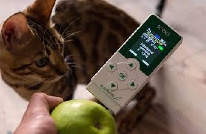 Geiger counter immediately shipment nitrate tester soeks for food vegetable radio meter dosimeter geigerzahler strahlenmessgerat