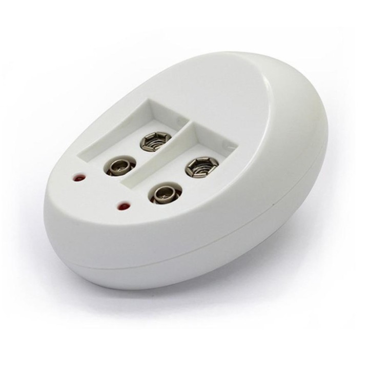 Dual Toy Akku-Ladegerät für 6F22 9V Lithium Ni-MH Ni-CD Akku US Stecker jr international - 1