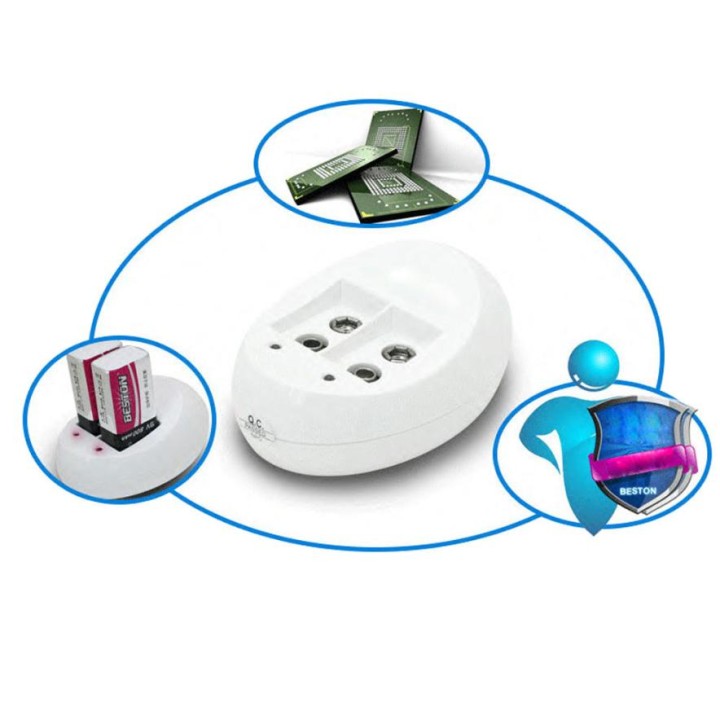 Dual Toy Akku-Ladegerät für 6F22 9V Lithium Ni-MH Ni-CD Akku US Stecker jr international - 1