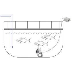 Stainless Steel 1080P Underwater POE IP Network Camera Support Multi-browser Access Free APP Remote Monitoring 150Kpa Pressure