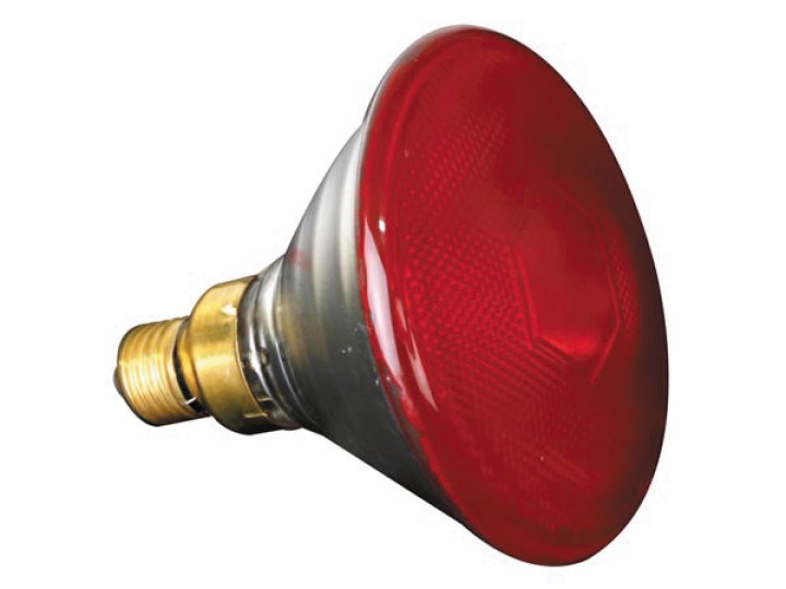 Sylvania halogenlampe 80w 240v par38 e27 fl 30° rot velleman - 1
