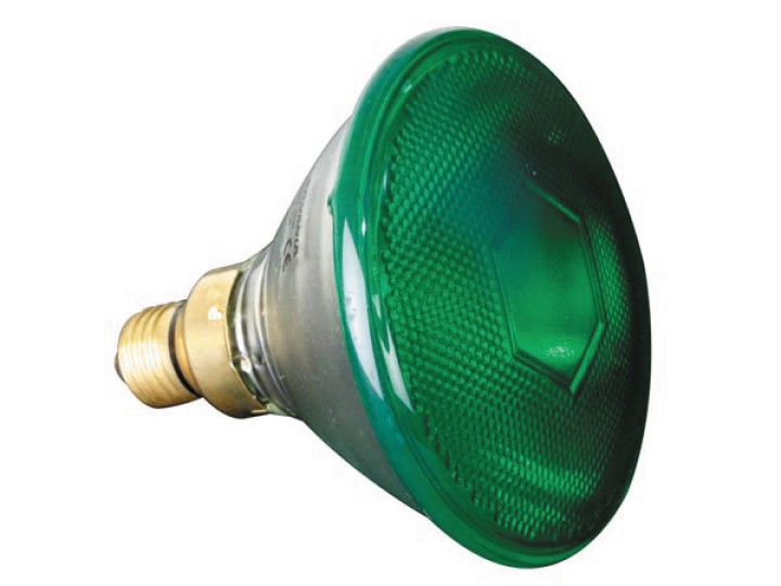Sylvania halogenlampe 80w 240v par38 e27 fl 30° grun velleman - 1