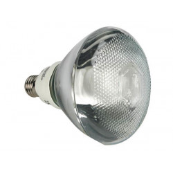 Par38 energy saving lamp 15w 240v e27 2700k velleman - 1