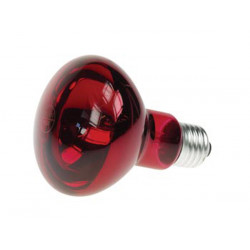 Spot colore rosso discoteca 60w r80 220v lampadina lampada del proiettore lamp60r2 illuminazione velleman - 1