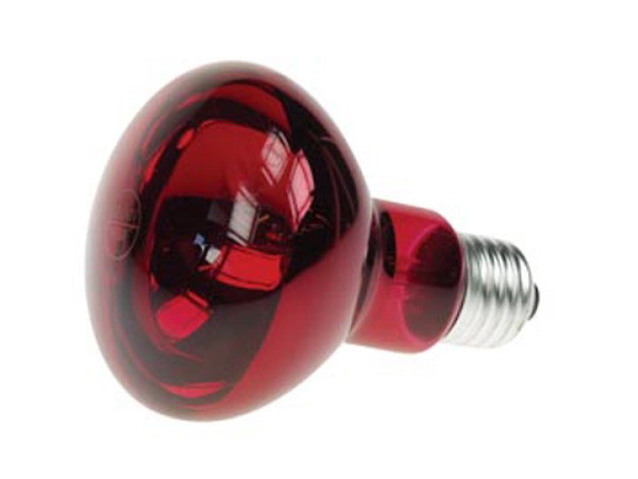 Coloured spot red 60w velleman - 1